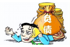 桂阳债务清欠服务